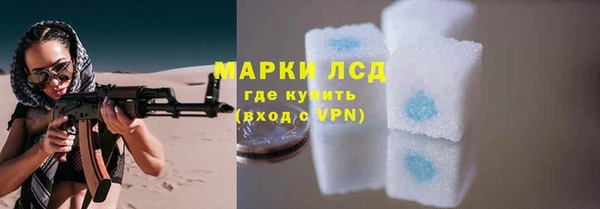 стаф Баксан