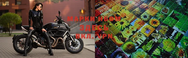 эйфоретик Бородино