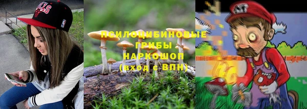 стаф Баксан